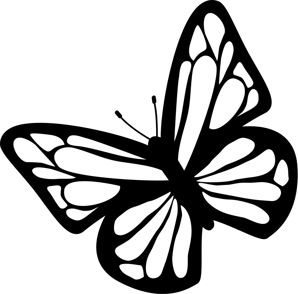 Butterfly Black And White Clipart Download Free Images - Free Butterfly Svg (981x968), Png Download