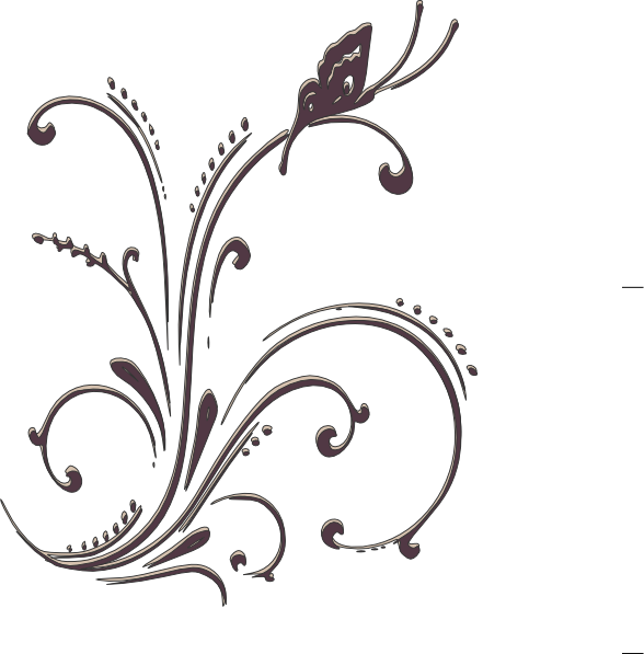 How To Set Use Scroll Butterfly Clipart - Coral Vector Png Design (588x597), Png Download