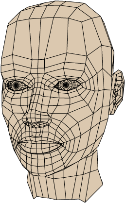 Human Head Wire - Illustration (640x480), Png Download