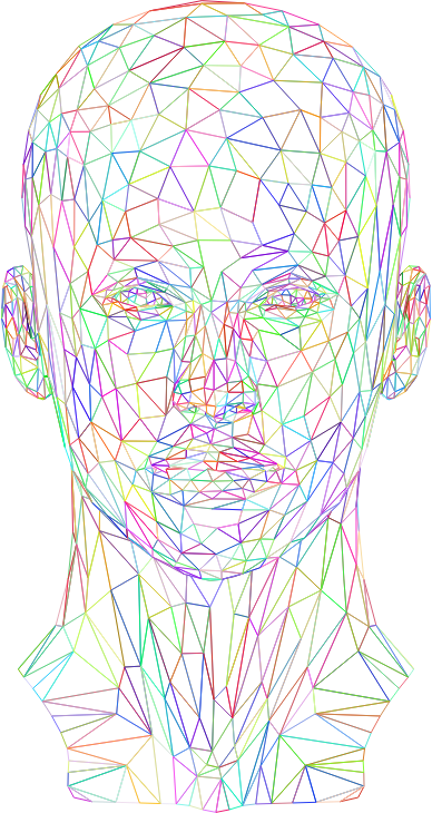 Medium Image - Wireframe Head Png (388x730), Png Download