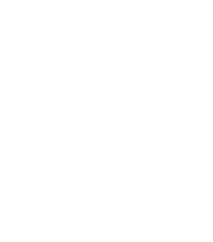 Leader White Png Icon (492x493), Png Download