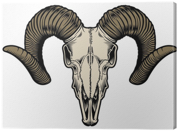 Skull Of A Goat (400x400), Png Download