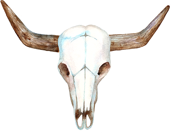 The Barn At Oak Manor - Print And Cut Cow Skull With Flowers (594x463), Png Download