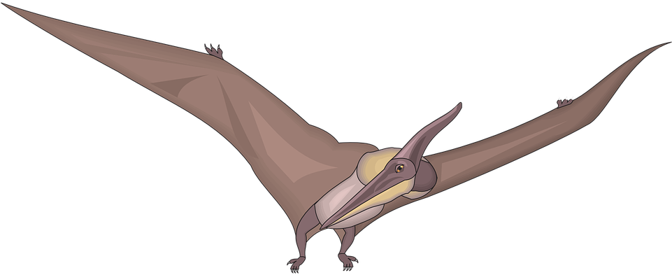 Dinosaurs Clipart Bird - Dinossauro Passaro (960x480), Png Download