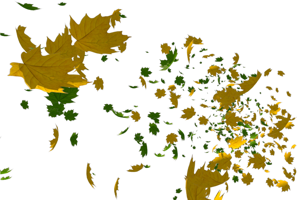 Leaves Beauty - Portable Network Graphics (1280x720), Png Download