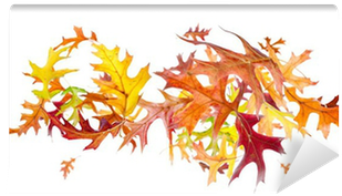 Flying And Spinning Autumn Leaves Isolated On White - Autumn (400x400), Png Download