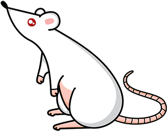 Dangers Of Mice And Rats - Cartoon (1834x555), Png Download