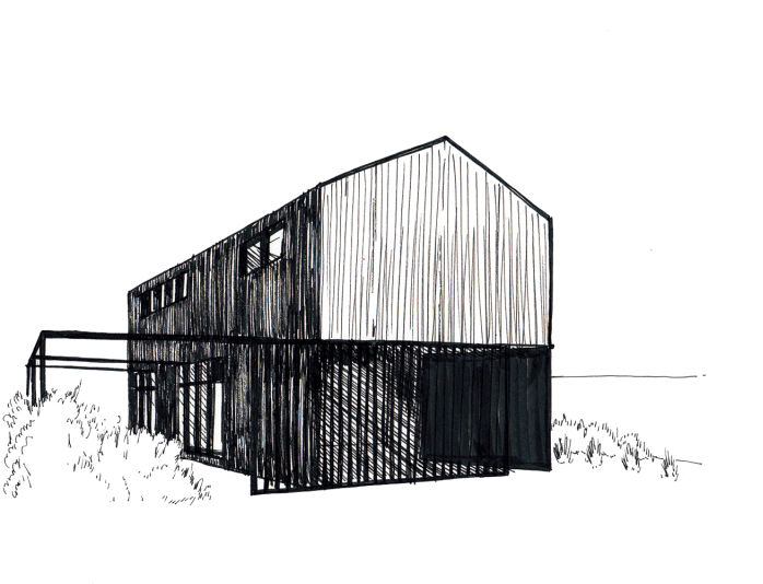 Beanstalk - Drawing (800x565), Png Download