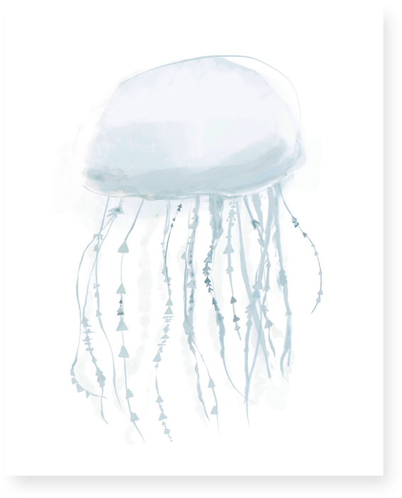 Jellyfish (1000x1000), Png Download