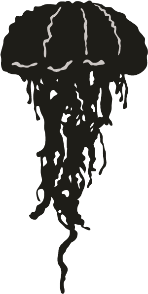 Clipart Resolution 696*696 - Jelyfish Silueta Png (696x696), Png Download