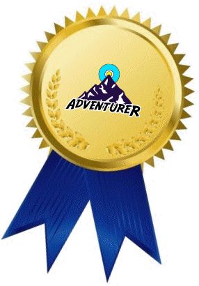 Adventurer-medal - Gold Award Ribbon (328x438), Png Download