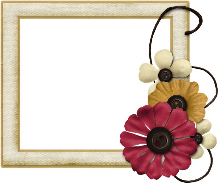 Máscara Moldura De Quadro E Flores Ao Lado Png Par - برواز شهادة شكر وتقدير (740x620), Png Download