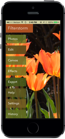 Your Browser Does Not Support The Video Tag - Smartphone (284x500), Png Download