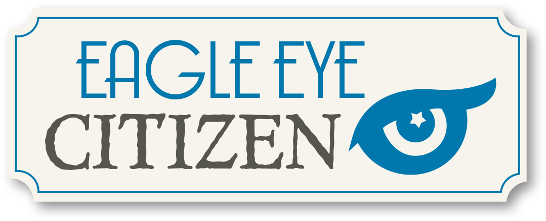 Eagle Eye Logo - Logo (1092x452), Png Download