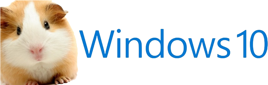 Upgrading To Windows - Feeding Your Guinea Pigs (870x272), Png Download