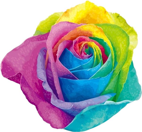 Instead - Colored Rose (640x630), Png Download