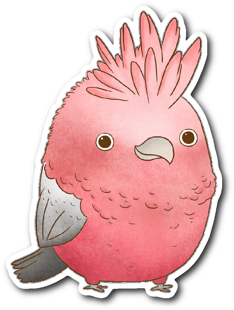 Galah Cockatoo Sticker - Galah Cartoon Transparent (1064x1064), Png Download