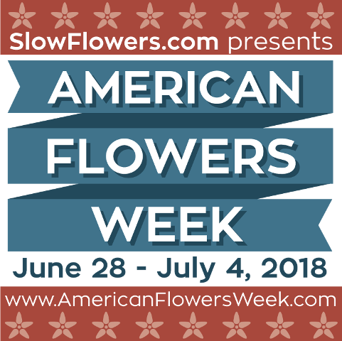 Don't Miss Out On American Flowers Week (481x480), Png Download