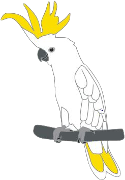 Sulphur-crested Cockatoo Pins - Sulphur-crested Cockatoo (334x377), Png Download