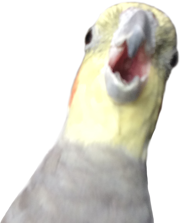 23 Mar - Alex The Honking Bird (694x748), Png Download