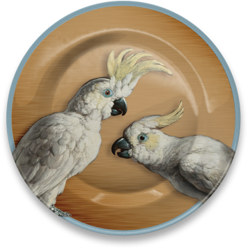 Cockatoo (420x420), Png Download