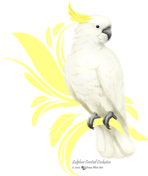 Cockatoo Com Crista Do Enxofre Camiseta (331x400), Png Download