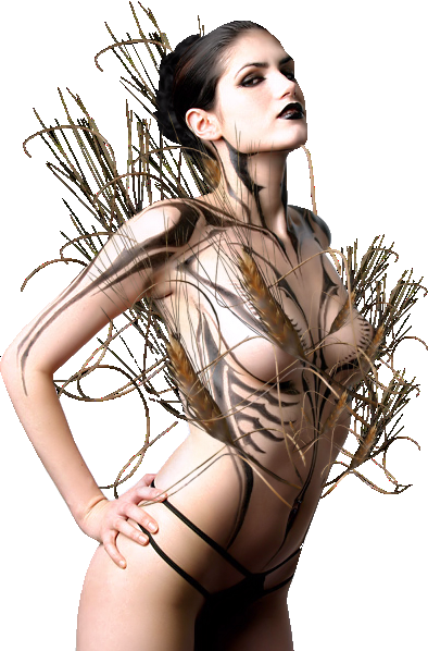 .net (394x598), Png Download