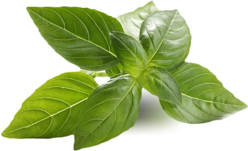 Many Of The Ingredients We Use Are Organic And Local - Una Hierba Efectiva Para Bajar De Peso (530x304), Png Download
