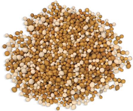 Plant Food - Coriander (640x388), Png Download