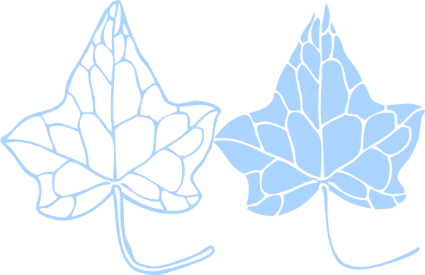 Ivy Leaf Clip Art (600x389), Png Download