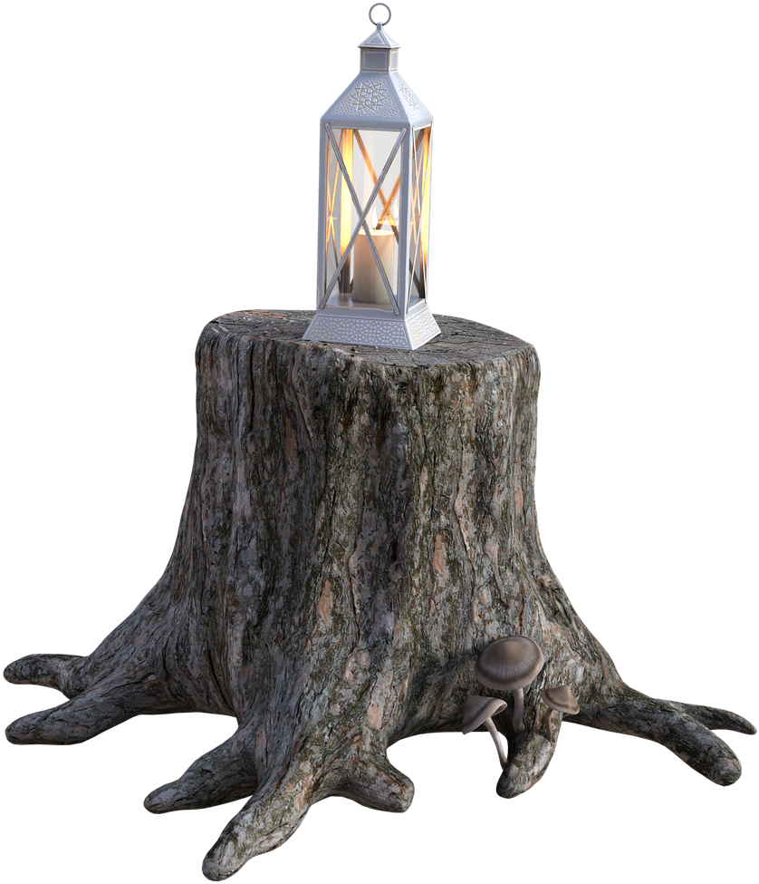 Tree - Souche D Arbre Png (880x1280), Png Download