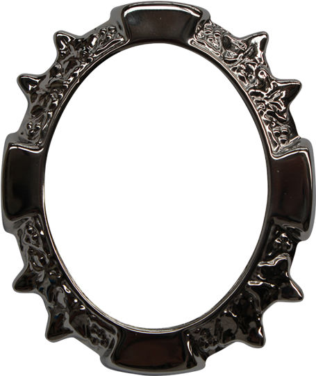 Australian Memorial Supplies Silver Oval Ivy Leaf Frame - Chainring S Works Direct Mount (540x540), Png Download