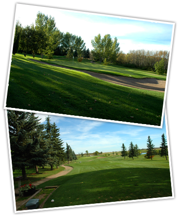 Golf Course - Park (364x440), Png Download