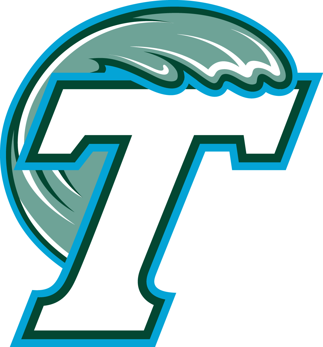 Tulane University Football Logo (1127x1213), Png Download