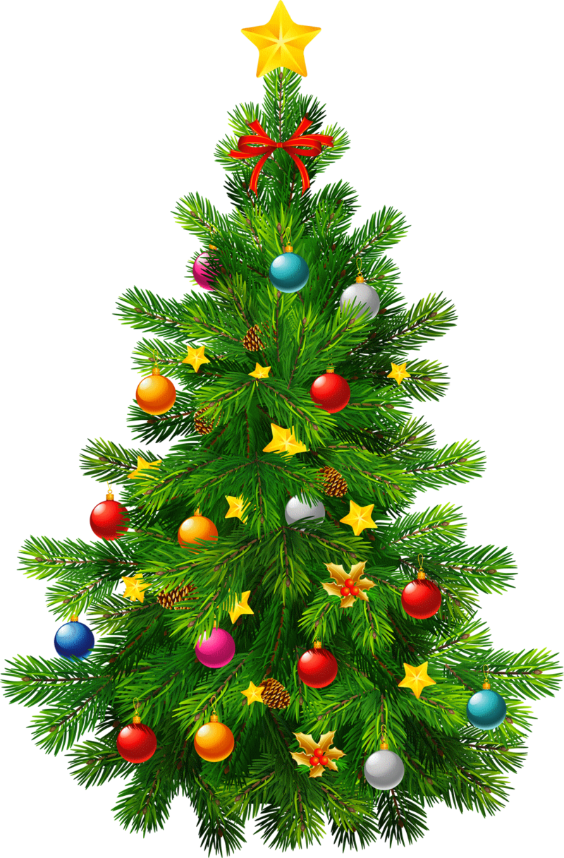 Christmas Tree Transparent Clipart - Decorated Christmas Tree Png (800x1216), Png Download