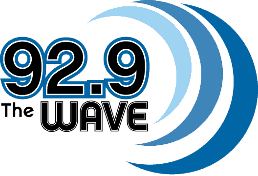 Wave-logo - Graphic Design (528x361), Png Download