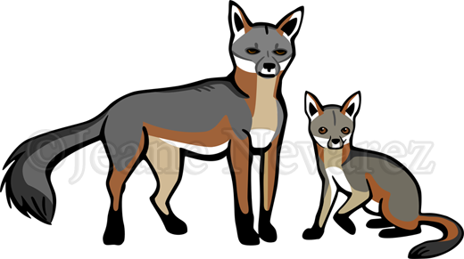 Gray Fox And Cub - Dibujos De Zorro Gris (520x291), Png Download