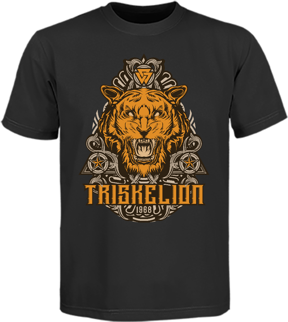 Triskelion - Astros Chasing History Shirt (1125x1500), Png Download