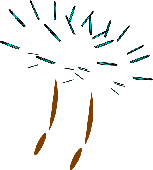Seed (534x594), Png Download