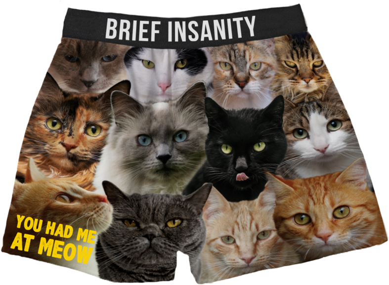 Cats Boxer Shorts You Had Me At Meow - Cat Boxers (1024x649), Png Download
