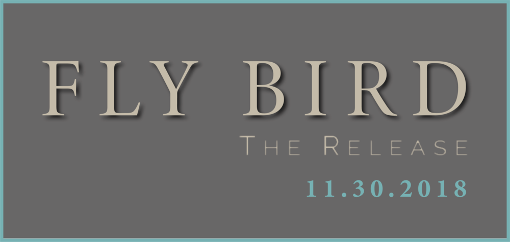Banner9 (1000x475), Png Download