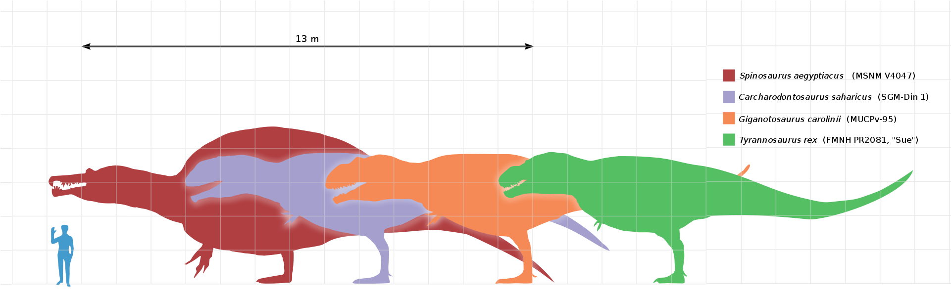 Imagewith - Dinosaurio Mas Grande Que El Rex (1920x624), Png Download