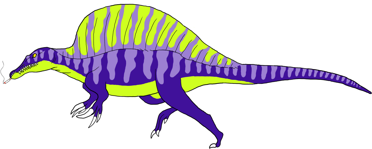 Spinosaurus Study (1550x608), Png Download