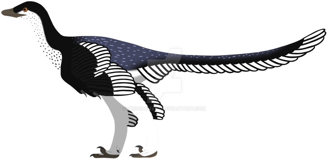 Spinosaurus Aegypticaus - Archaeopteryx (1200x577), Png Download
