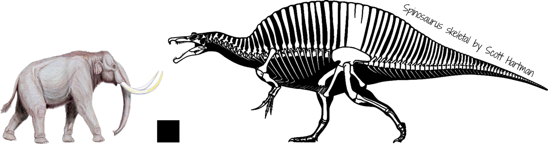Full Sized Version<br /><br />mammuthus Trogontherii - Songhua River Mammoth Vs Spino (1894x500), Png Download
