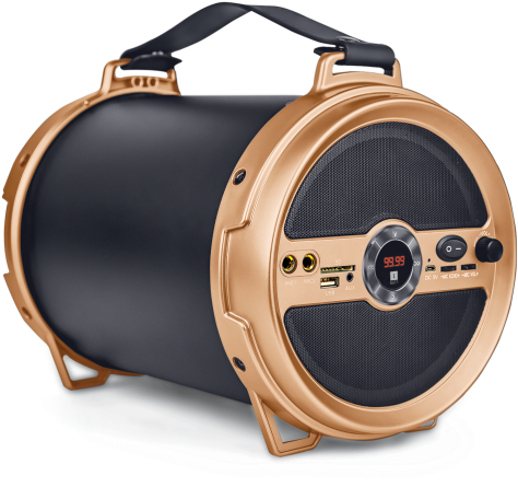 Iball Portable Speaker Karaoke Barrel V2 - Iball Karaoke Barrel V2 0 (500x500), Png Download