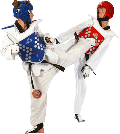 Champions At Life - Taekwondo Player Png (500x467), Png Download