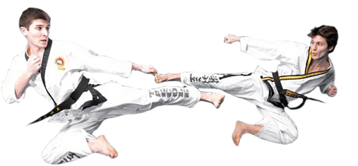 Tae Kwon Do - Martial Arts Taekwondo (534x440), Png Download