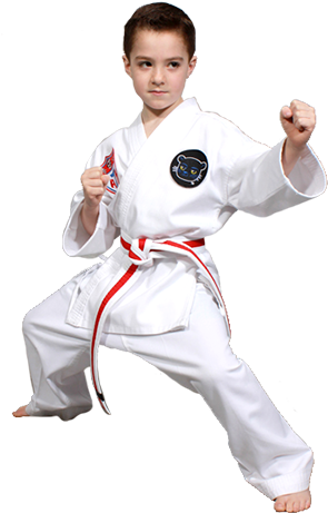 Kids Martial Arts Classes - Taekwondo (347x469), Png Download