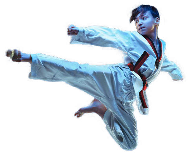Adobestock 1431793352 - Imagenes Taekwondo Png (750x750), Png Download